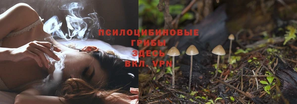 ALPHA PVP Дмитриев