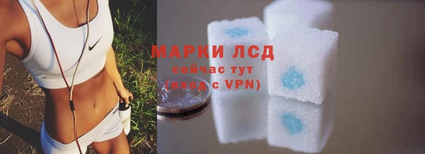 ALPHA PVP Дмитриев