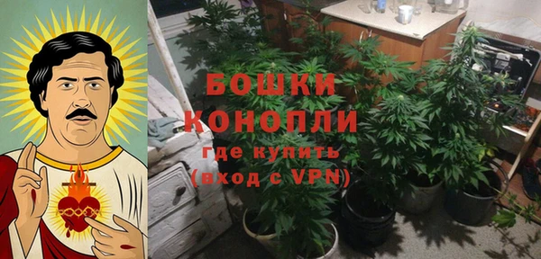 ALPHA PVP Дмитриев