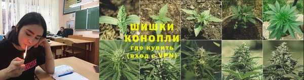 ALPHA PVP Дмитриев