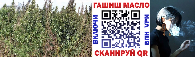 ТГК концентрат  KRAKEN   Москва 