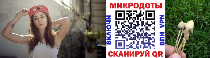 Галлюциногенные грибы прущие грибы  Москва 