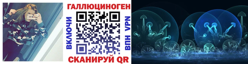 Псилоцибиновые грибы Psilocybe Москва