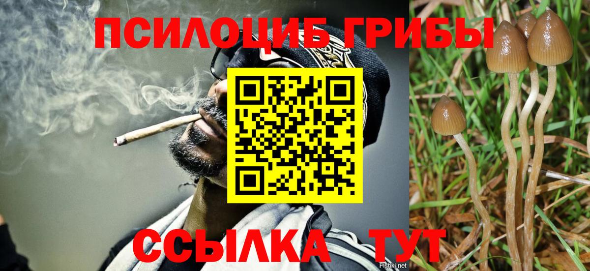 Галлюциногенные грибы Cubensis  Псилоцибиновые грибы Cubensis  Вход с VPN  Москва 